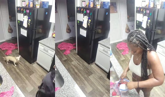 Drkbeauty Bigo Live — Sep 1, 2026, 6:43 PM