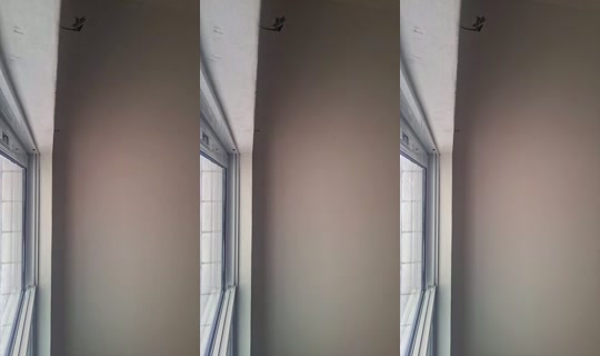 FA.NabrisaXxl Bigo Live — Sep 29, 2026, 3:11 PM