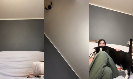 Inco92 Bigo Live — Sep 27, 2026, 5:17 PM