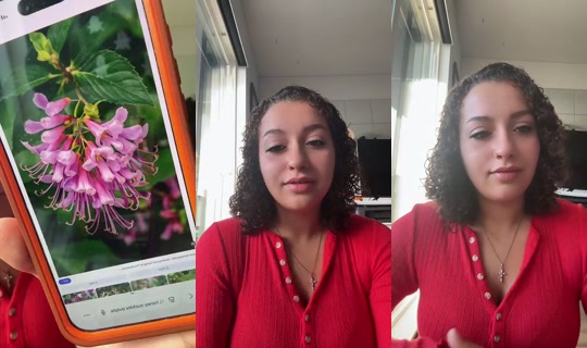 Jadaababyy Bigo Live — Oct 23, 2026, 12:04 PM