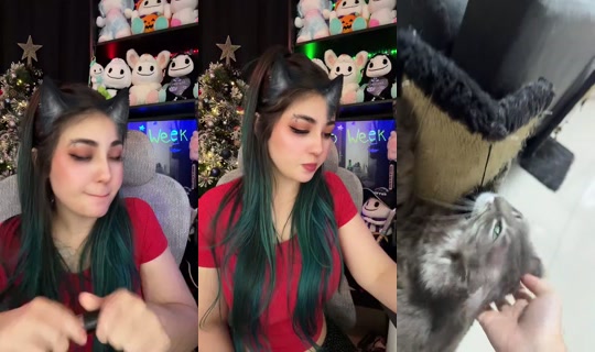 Kareenc Bigo Live — Sep 13, 2026, 4:47 AM