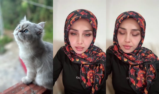 Kedi.Annesi Bigo Live — Oct 16, 2026, 7:31 PM