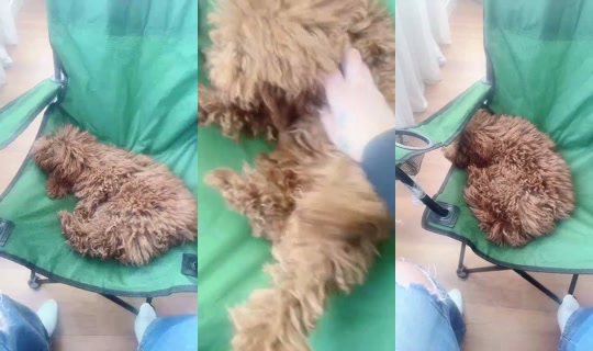 Liyelsam Bigo Live — Oct 9, 2026, 1:41 PM