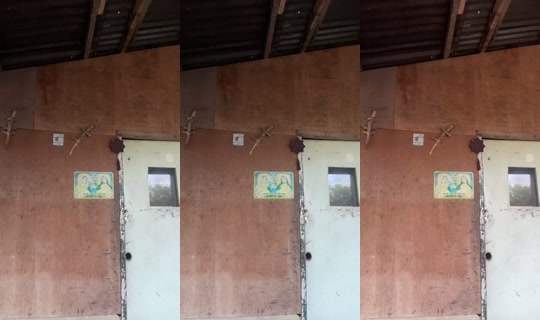Mel_200 Bigo Live — Sep 22, 2026, 8:13 AM