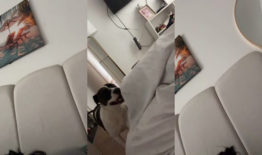 Melissa1102 Bigo Live — Sep 6, 2026, 2:43 PM
