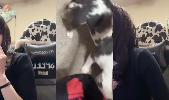 MissMooMoo Bigo Live — Oct 18, 2026, 12:26 AM