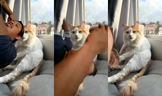 Molycita Bigo Live — Jul 27, 2026, 11:29 PM