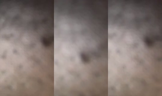 Obsessedwmarlee Bigo Live — Jul 30, 2026, 11:16 AM