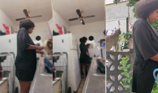 OnlyCurlii9 Bigo Live — Sep 16, 2026, 12:18 AM