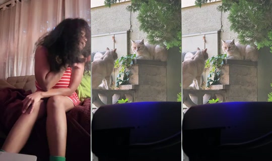 OnlyCurlii9 Bigo Live — Oct 3, 2026, 1:58 PM