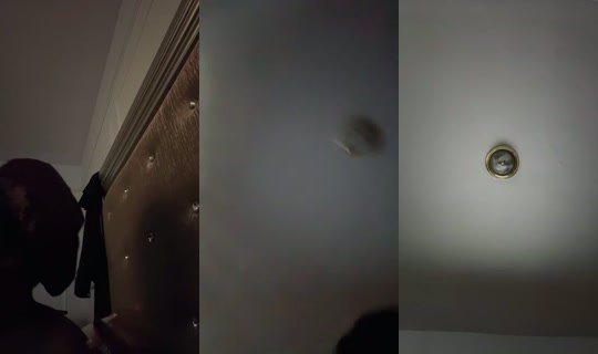 Pettyparisbonita Bigo Live — Sep 3, 2026, 4:24 PM