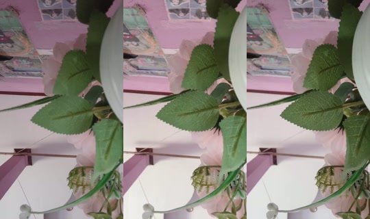 Pkv_onlylove Bigo Live — Jul 30, 2026, 6:51 AM