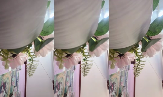 Pkv_onlylove Bigo Live — Jul 31, 2026, 2:50 AM