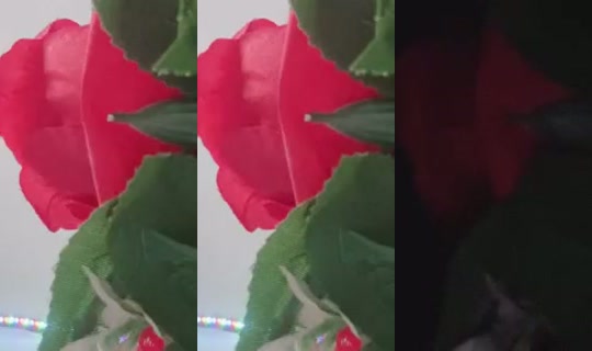 Pkv_onlylove Bigo Live — Aug 25, 2026, 3:12 PM
