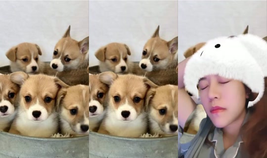 Pukkardjade Bigo Live — Jul 20, 2026, 2:42 PM