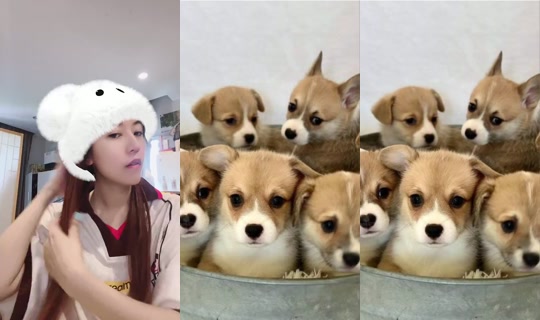 Pukkardjade Bigo Live — Sep 24, 2026, 2:58 AM