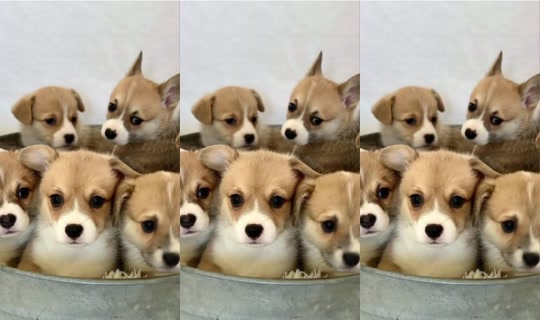 Pukkardjade Bigo Live — Sep 28, 2026, 2:56 PM