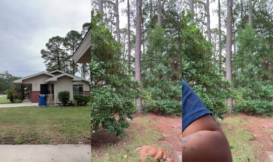 Redd.GoDdeSS Bigo Live — Oct 8, 2026, 8:53 PM