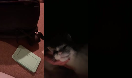 RosieOfficial Bigo Live — Sep 11, 2026, 10:27 PM