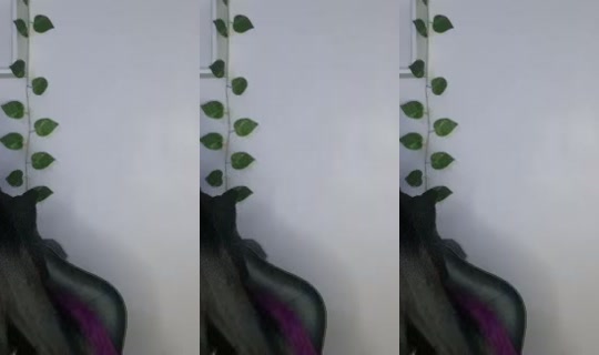 Rwacacia Bigo Live — Jul 28, 2026, 2:19 AM