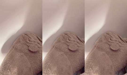 Sh696 Bigo Live — Oct 12, 2026, 11:07 AM