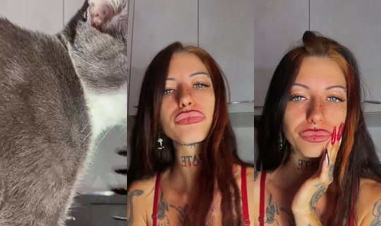TattooLiveIT Bigo Live — Sep 22, 2026, 11:31 PM