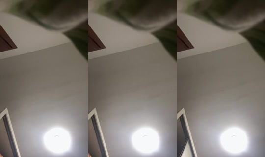 Tlm.evi Bigo Live — Sep 11, 2026, 11:14 PM
