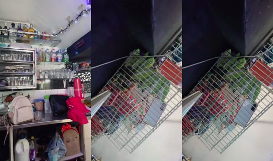 Twinsalekte Bigo Live — Sep 19, 2026, 9:51 PM
