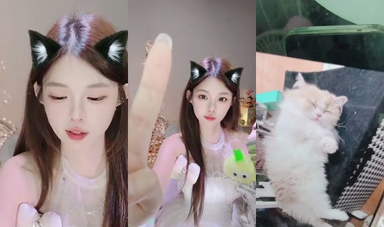 Yt888 Bigo Live — Sep 17, 2026, 4:23 PM