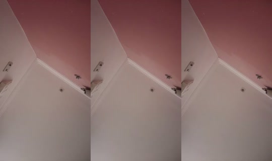annamayy Bigo Live — Oct 9, 2026, 9:12 PM