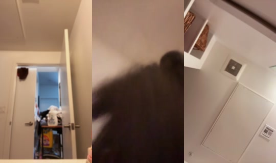 asiadrivemecrazy Bigo Live — Sep 14, 2026, 8:19 PM