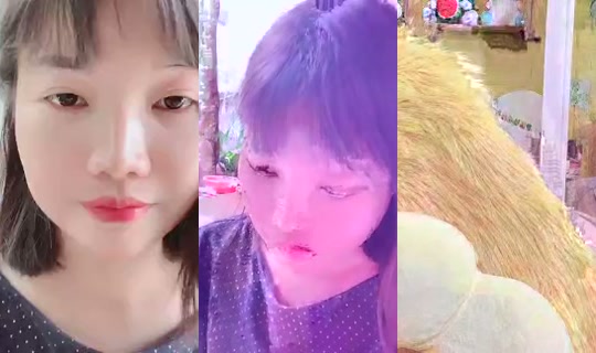 bebi0102 Bigo Live — Sep 17, 2026, 5:48 AM
