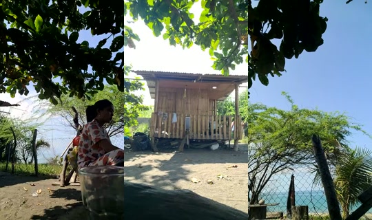 bels28 Bigo Live — Jul 21, 2026, 6:33 AM