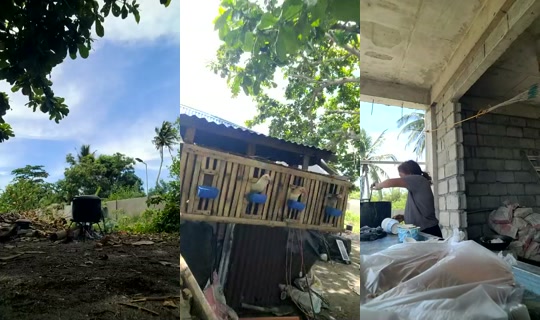 bels28 Bigo Live — Jul 22, 2026, 2:56 AM