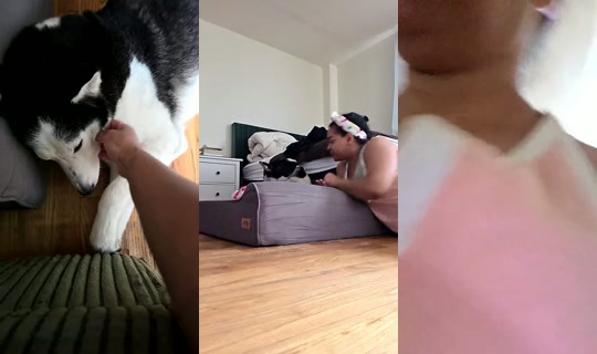 bluegalaxy Bigo Live — Jul 30, 2026, 1:44 PM