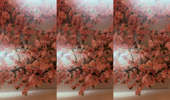 brooklynnrose Bigo Live — Oct 17, 2026, 9:41 PM