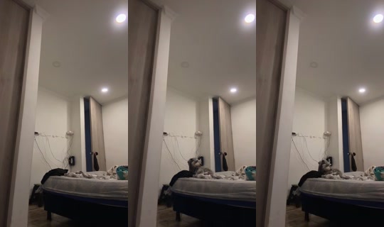 camila200 Bigo Live — Sep 26, 2026, 12:50 AM