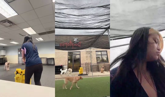 diariesbyjenna Bigo Live — Sep 21, 2026, 9:43 PM