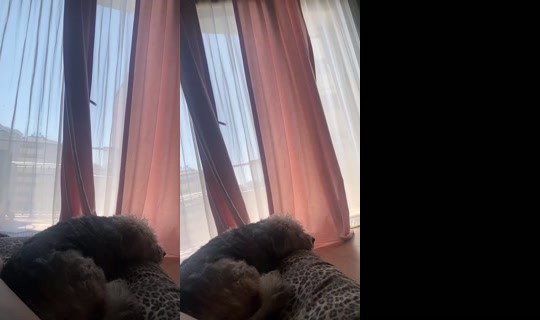 eceselseyler Bigo Live — Aug 21, 2026, 10:05 AM