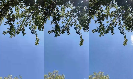 gonga24 Bigo Live — Sep 19, 2026, 1:37 PM