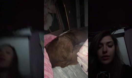 gotuhypnotized Bigo Live — Oct 1, 2026, 4:51 AM