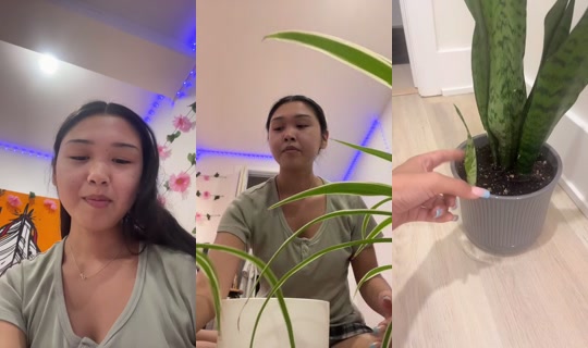 harrvk4 Bigo Live — Sep 6, 2026, 2:19 AM