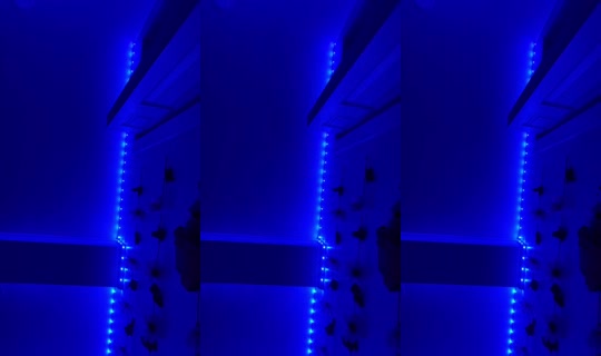 harrvk4 Bigo Live — Sep 6, 2026, 6:16 AM