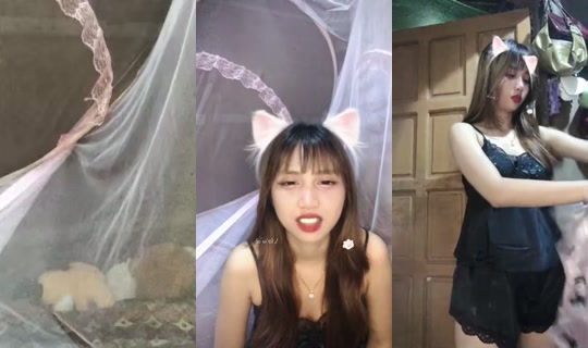 hnin42102 Bigo Live — Oct 23, 2026, 4:13 PM