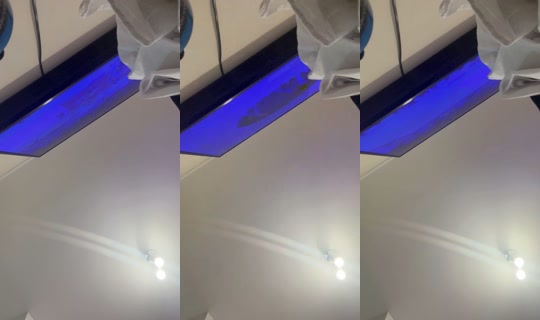 il.fernanda Bigo Live — Sep 18, 2026, 2:33 AM