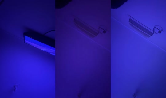 il.fernanda Bigo Live — Sep 24, 2026, 1:07 AM