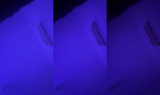 il.fernanda Bigo Live — Sep 24, 2026, 3:29 AM