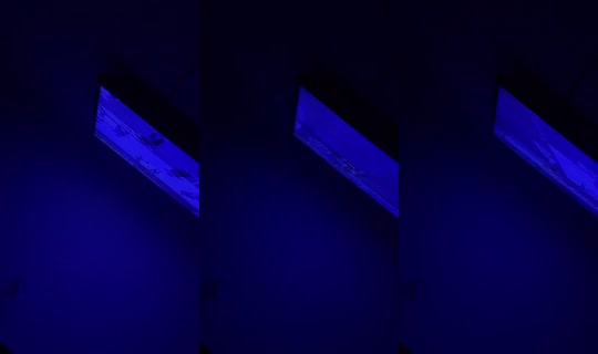 il.fernanda Bigo Live — Sep 25, 2026, 9:56 PM