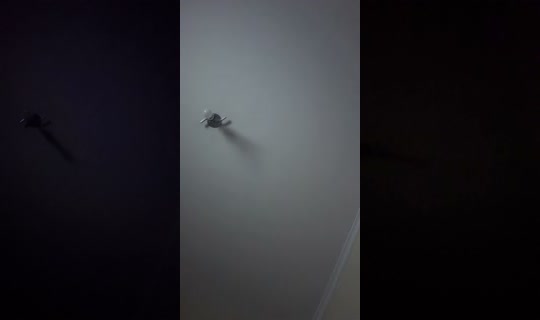 il.fernanda Bigo Live — Oct 22, 2026, 5:35 AM