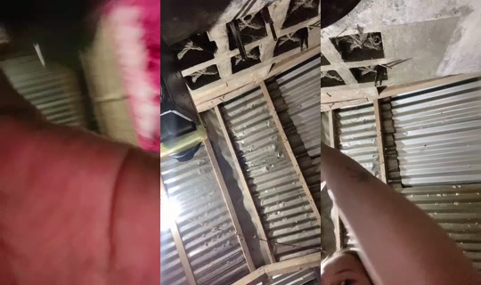 im_abby Bigo Live — Oct 7, 2026, 12:49 PM